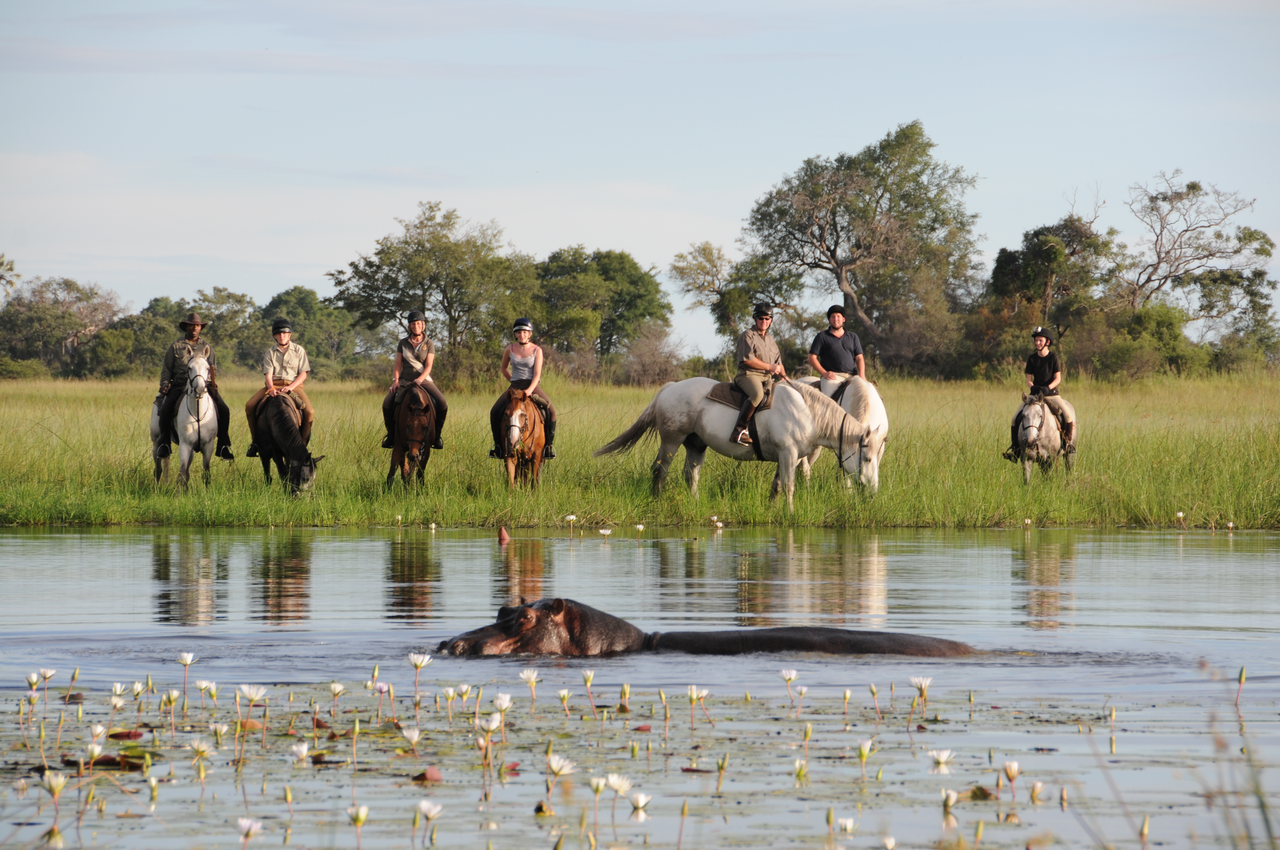 Horseback Safaris, Macatoo Camp, Okavango Delta, Botswana