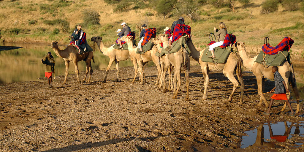 Camel Safari, Alternative Experiences, Guide Clinic