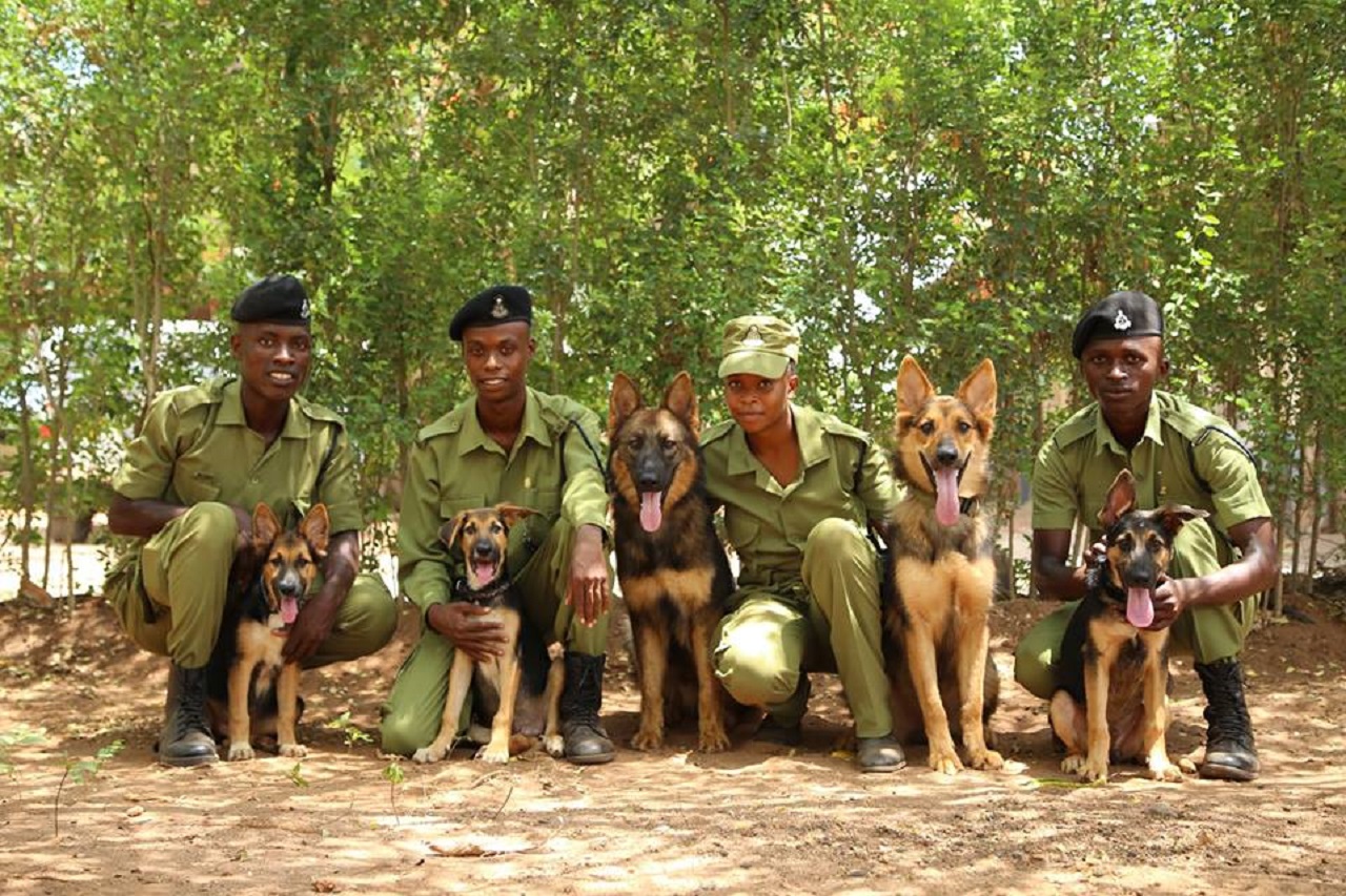 Dog Detection Unit, PAMS, Charity Focus, Tanzania