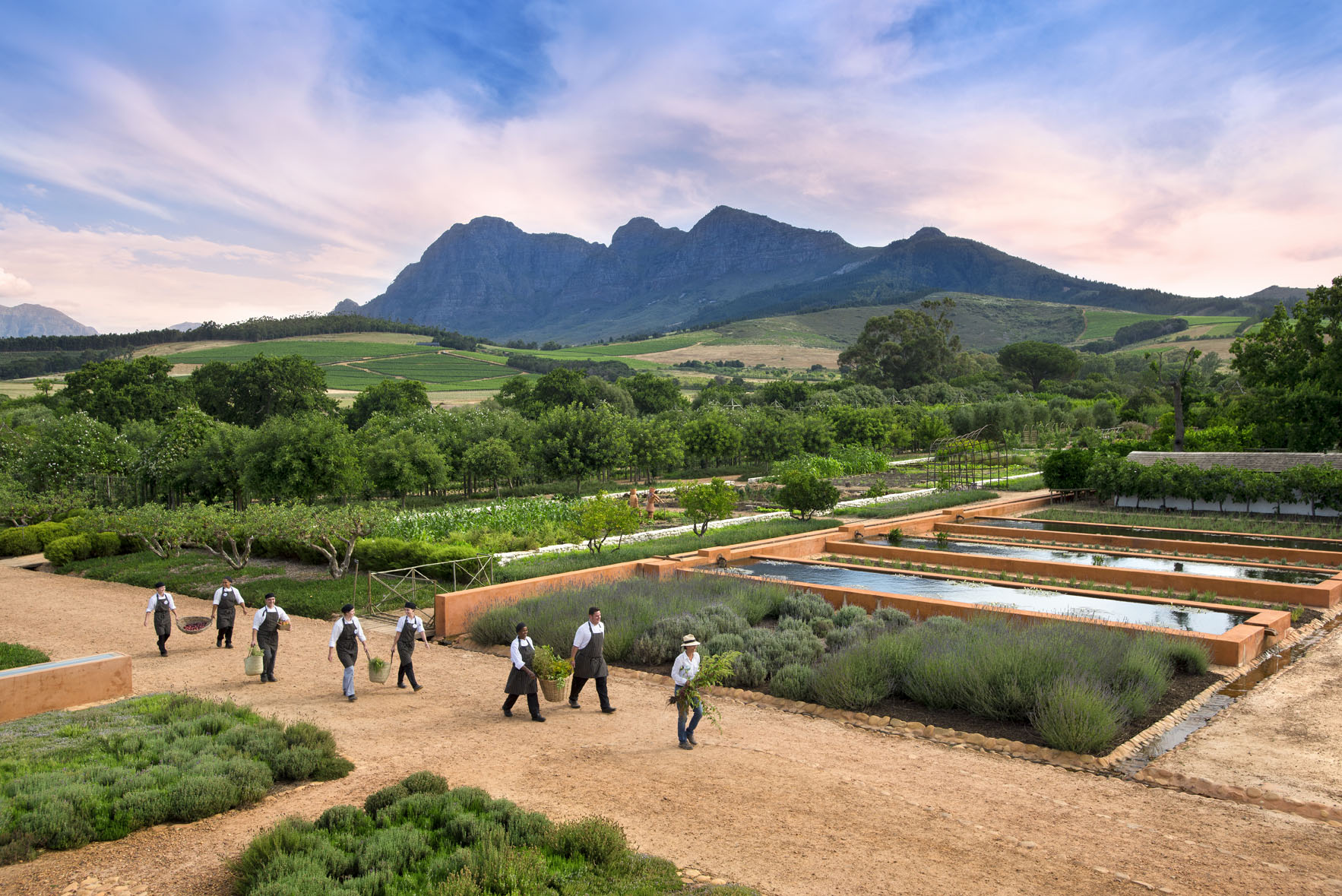 Garden, Babylonstoren, The Winelands, South Africa