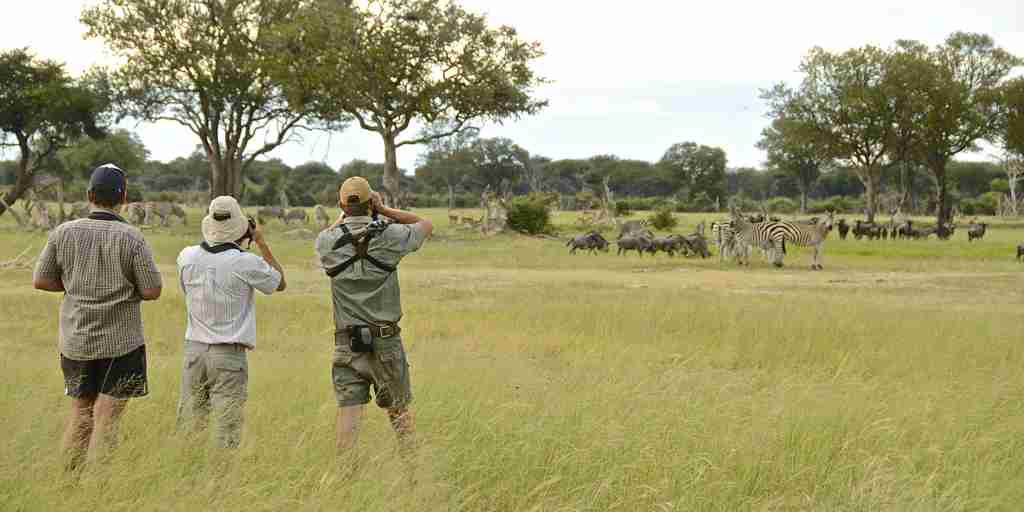 23. Imvelo Safari Lodges   Camelthorn Lodge   The plains are great walking country