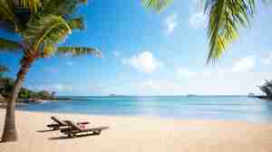 beach sun loungers, mauritius, africa safari destination