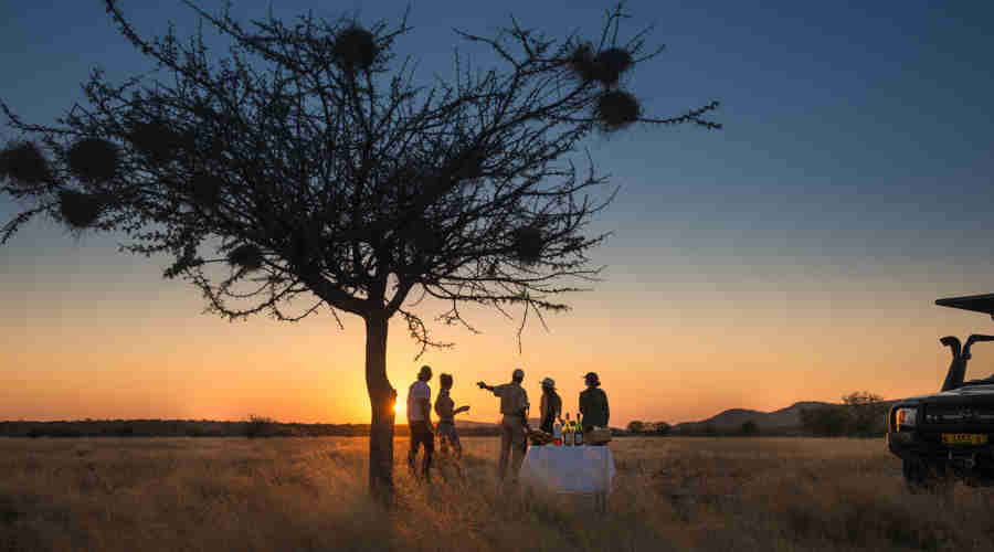 sundowners ongava lodge namibia yellow zebra safaris