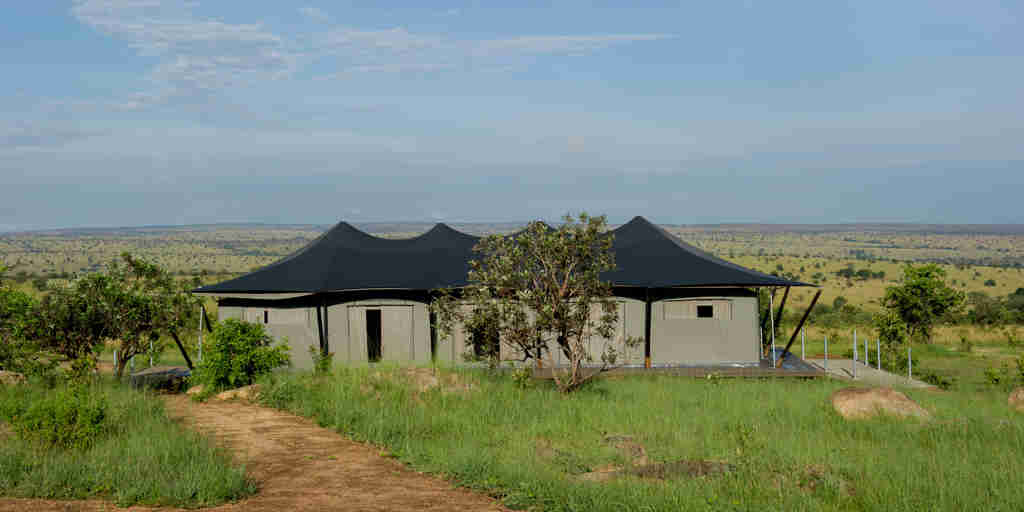 mara mara tented lodge tanzania family tent yellow zebra safaris
