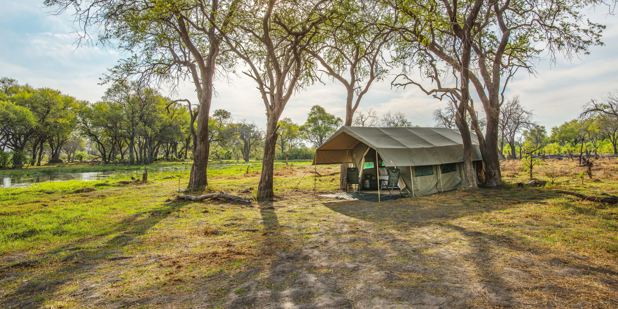 golden africa safaris tent day outside botswana yellow zebra safaris
