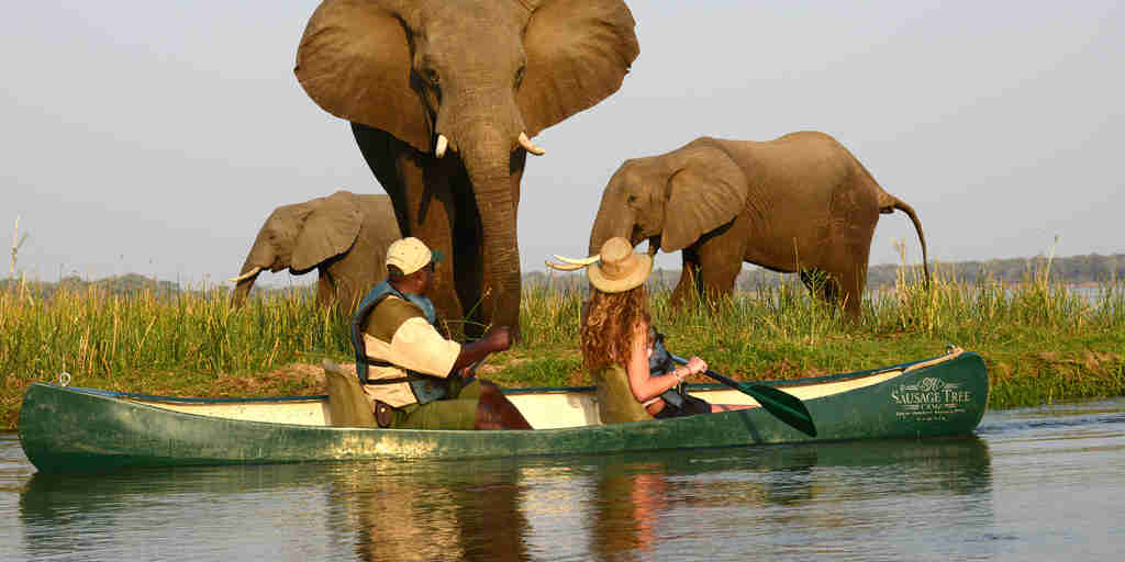 Canoe to see elephants in Zimbabwe