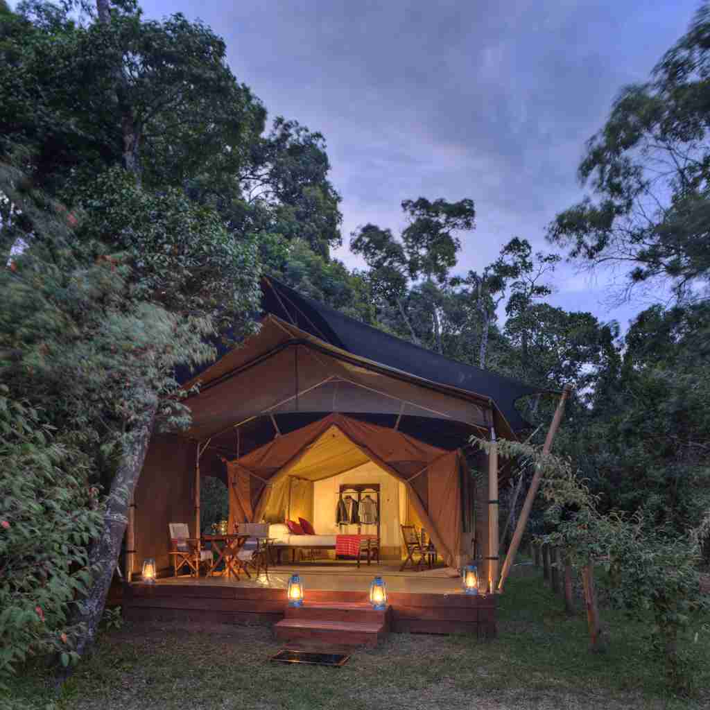 Luxury safari tent, Elephant Pepper Camp, Kenya
