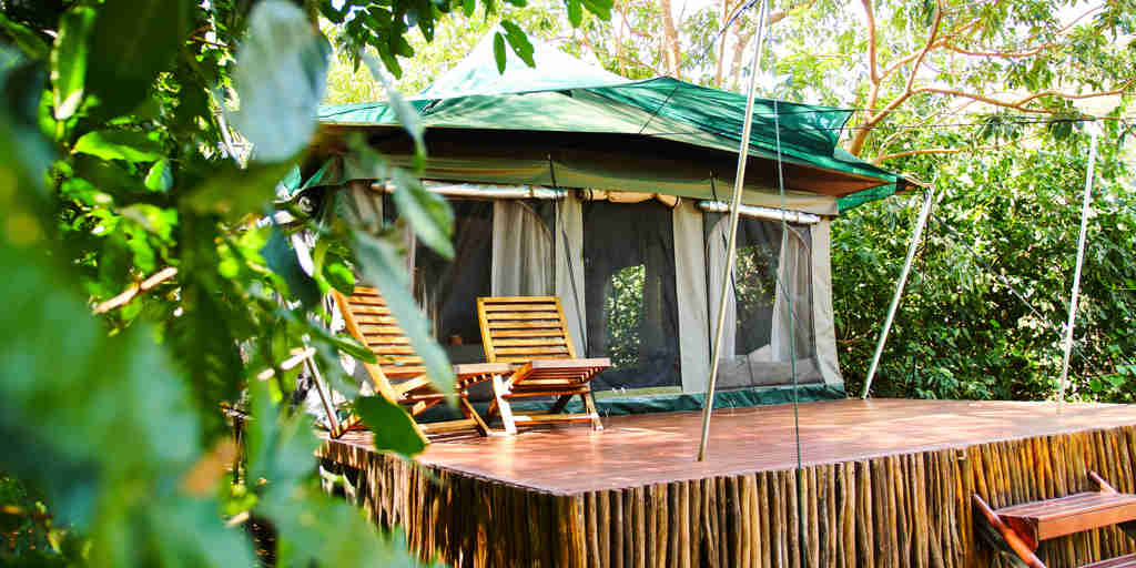 view of tent, wayo manyara green camp, tanzania