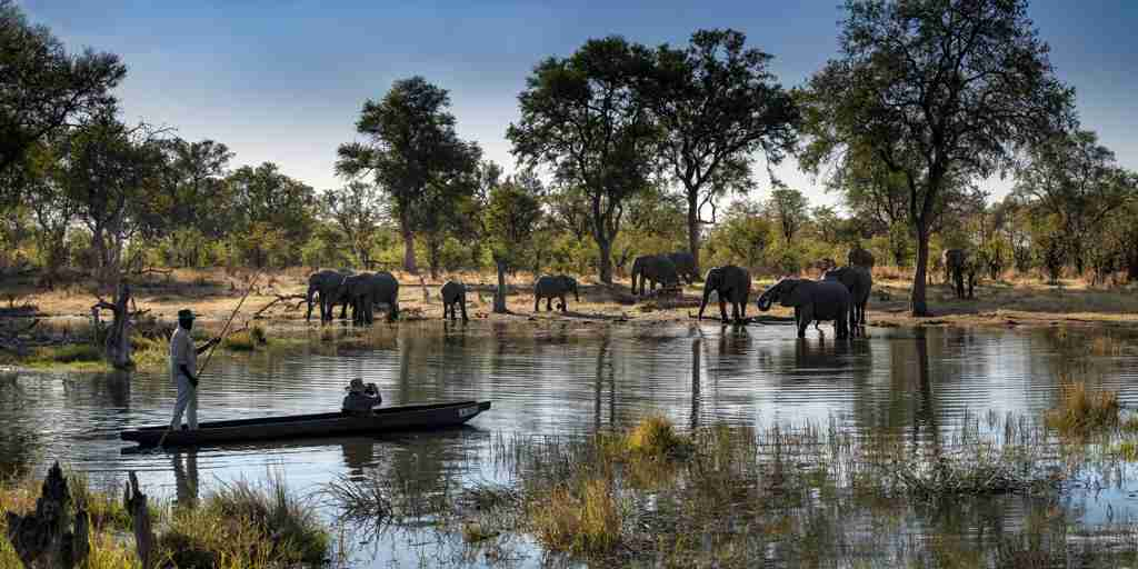 Elephants, Khwai Lediba, Khwai, Botswana
