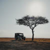 Game Drive, Roca River Camp, Maasai Mara, Kenya