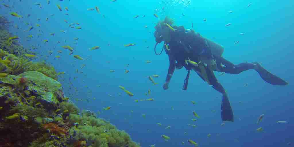 diving snorkelling undersea walk, experiences in mauritius 