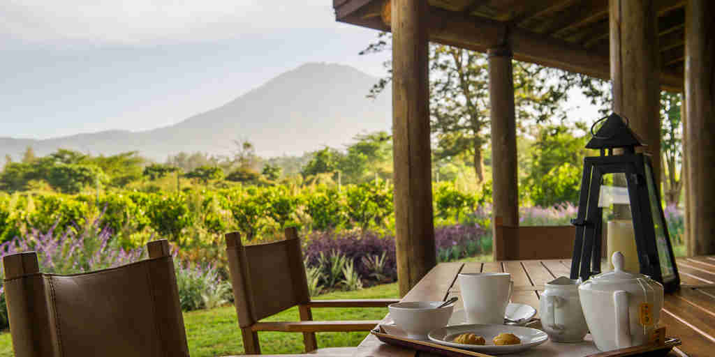  img Clients Tanzania Legendary Expeditions 12. Legendary Lodge veranda breakfast