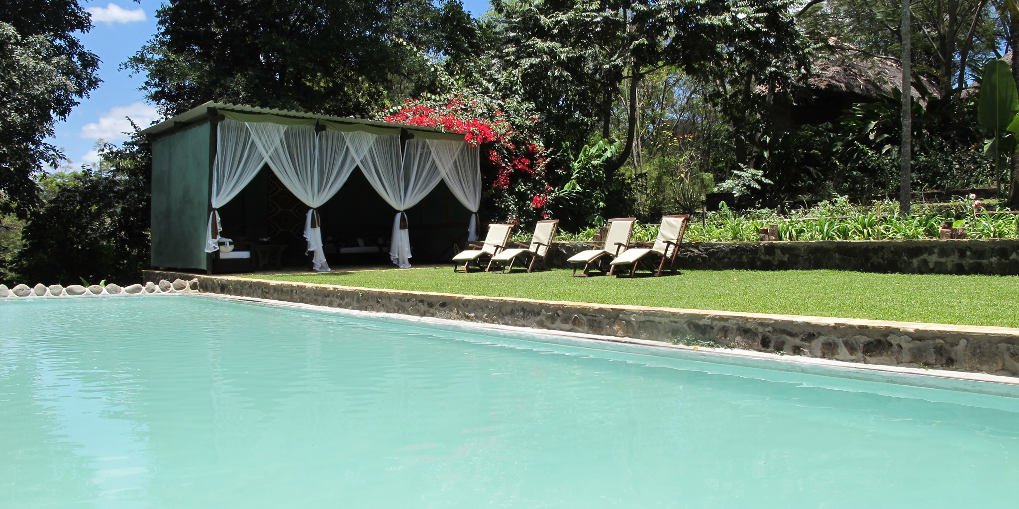 Pool, Ngare Sero Mountain Lodge, Arusha, Tanzania 