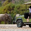 0 AC elephant jeep
