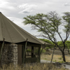 Onguma Tented Camp 0070
