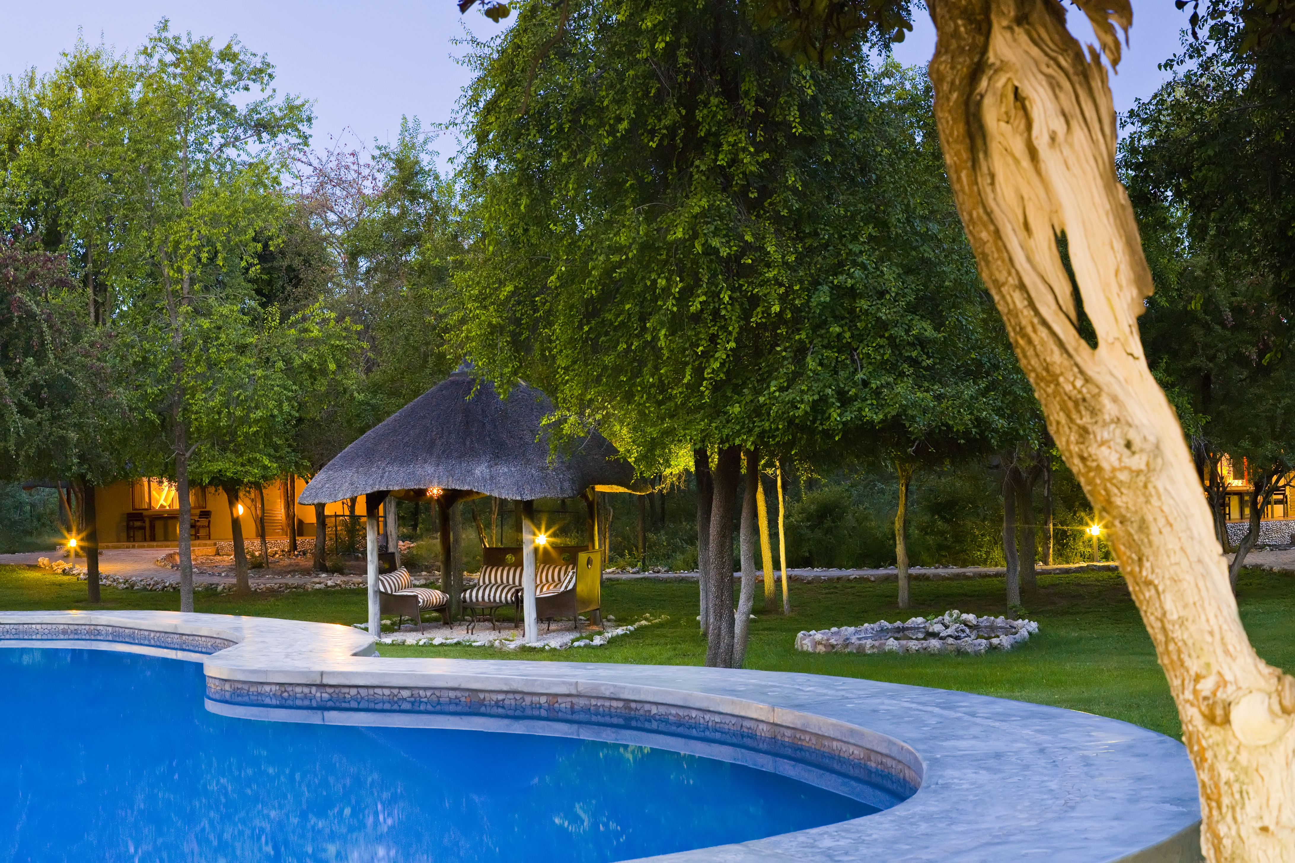 Mushara Lodge | Etosha, Namibia Luxury Lodges | Yellow Zebra Safaris