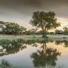 Onguma Tented Camp Camps in Etosha, Namibia Yellow Zebra Safaris