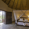 Onguma Bush Camp 1127
