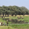 OM walk eles lagoon scene