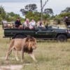 copyright Scott Ramsay   www.lovewildafrica.com 73