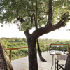 londo treecamp deckview1
