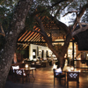 African Safari Lodges You Must Experience