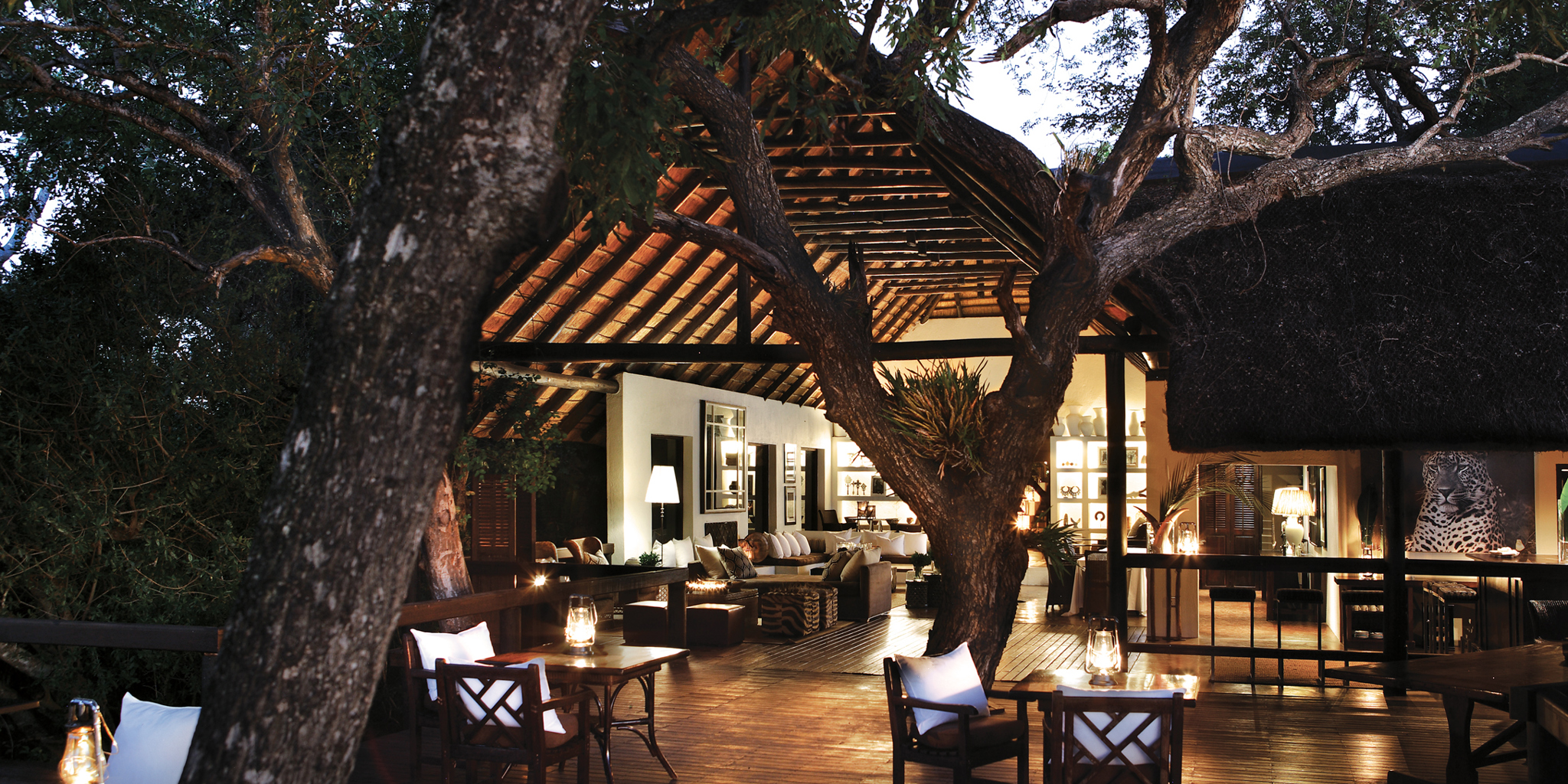 African Safari Lodges You Must Experience