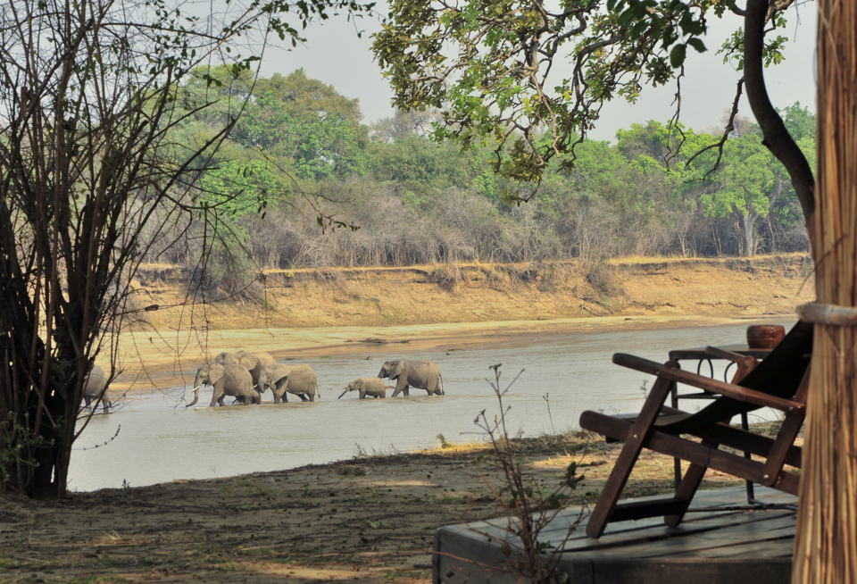 Elephants, Mchenja Bush Camp, South Luangwa NP, Zambia