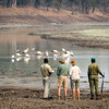 RPS 2012 09 149e
