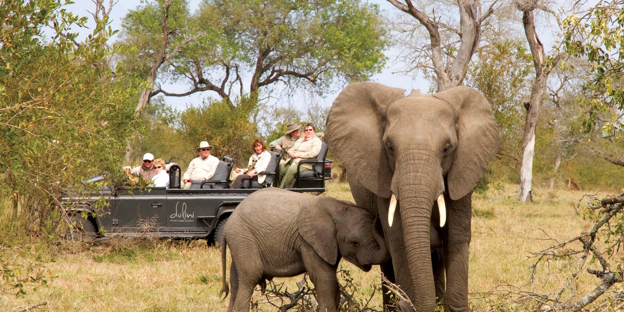 dulini game drive 03