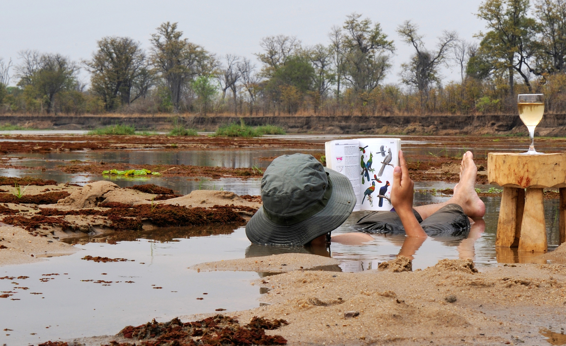mud baths, north luangwa national park, zambia