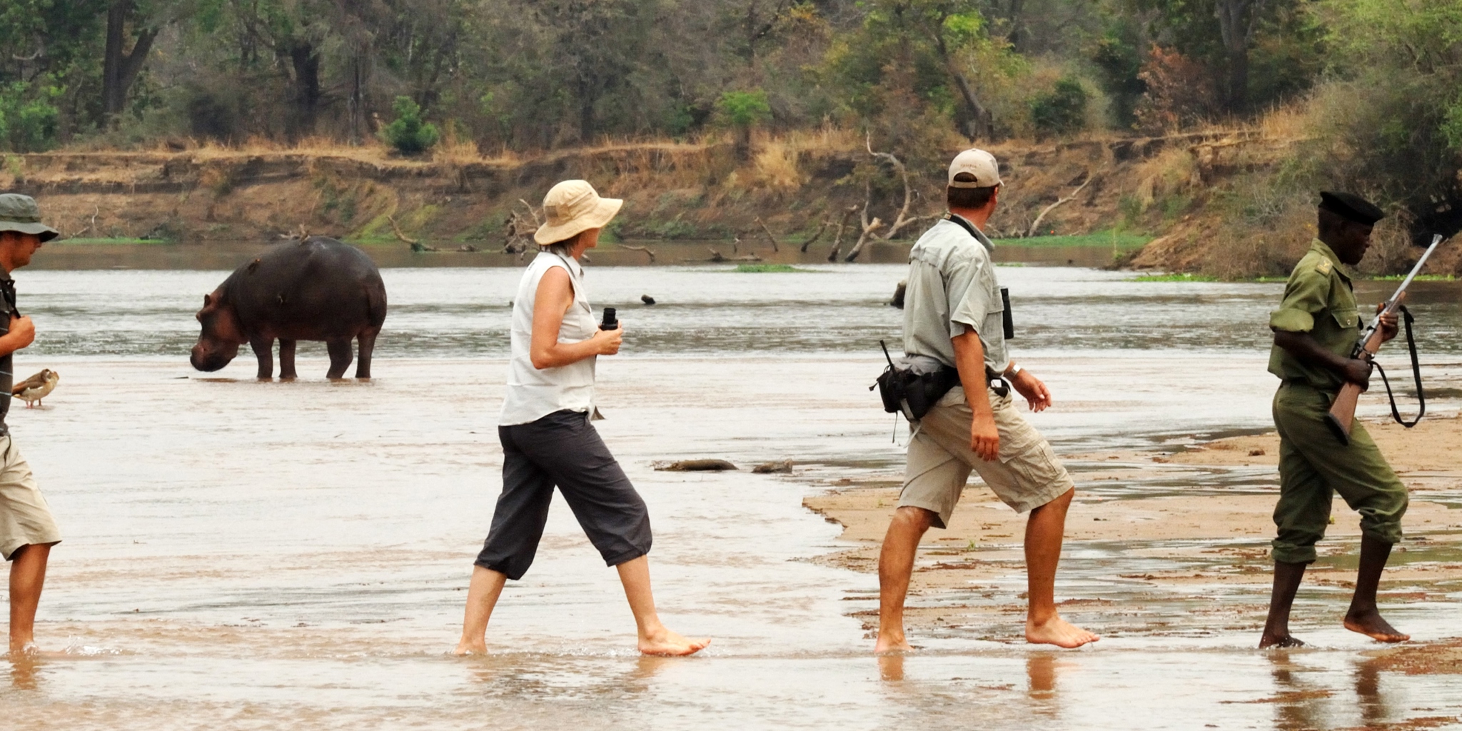 North Luangwa Safaris Vacations | Zambia Safaris | Yellow Zebra