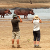 wild hippo safaris, north luangwa national park, zambia