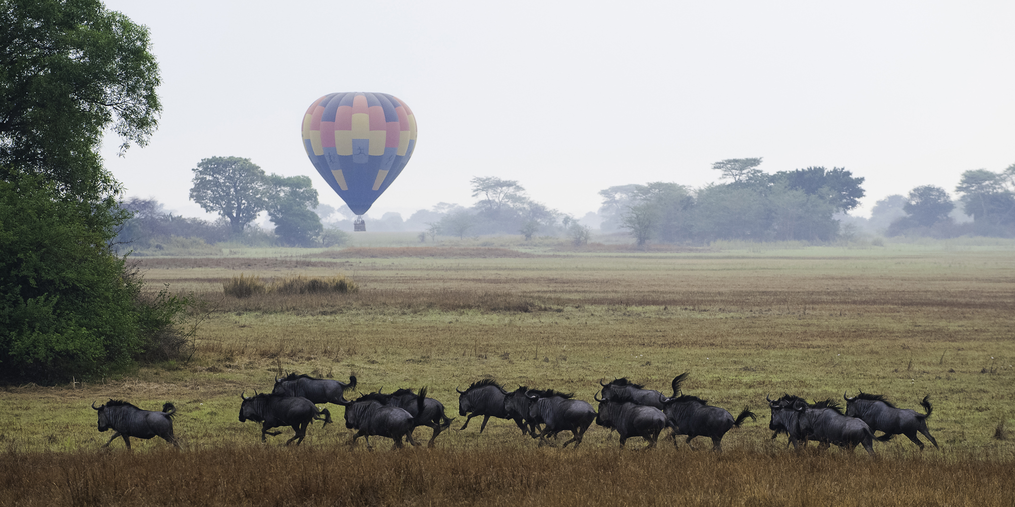 BusangaBalloon090