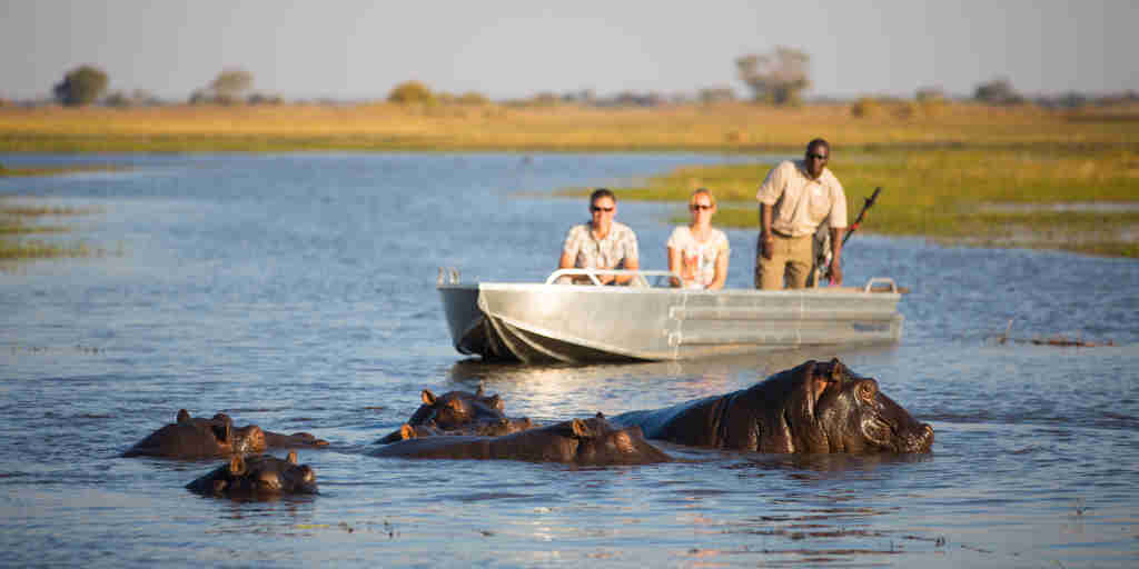 hippo encounter, boating safaris, zambia vacations