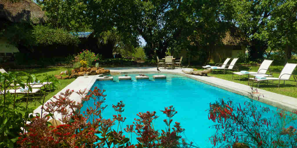 waterberry lodge swimming pool
