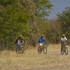 High Res Bamboo Biking