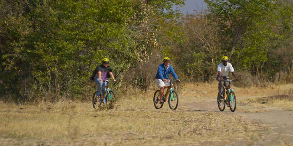 High Res Bamboo Biking