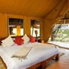 lewa safari camp family ten