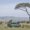 07 Game Drive Experience