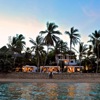Palm Garden Wedding