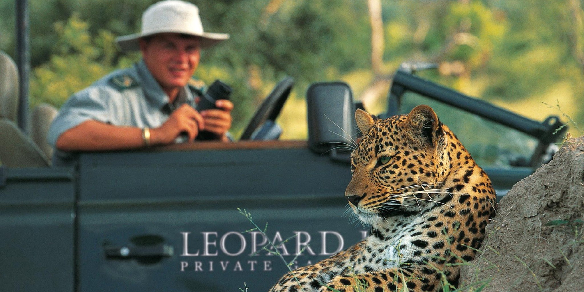 leopard hills safari