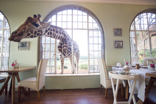 dining area, giraffe manor, nairobi, Kenya