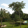 House of Waine Garden and Pool