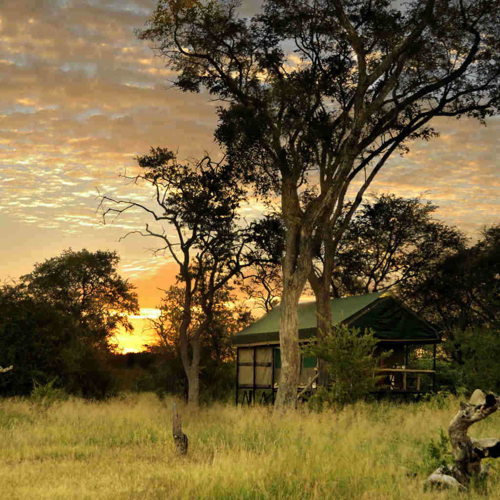 18. Imvelo Safari Lodges   Bomani Tented Lodge   Hornbill Tent at sunrise