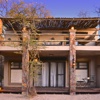 13. Imvelo Safari Lodges   Camelthorn Lodge   Forest Villa At Dawn