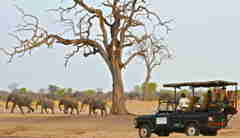 23. Imvelo Safari Lodges   Bomani Tented Lodge   Game viewing by Land Rover