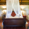 Ivory Lodge | Luxury Lodges In Zimbabwe | Yellow Zebra Safaris