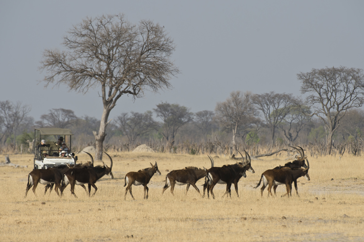 MM Hwange Sep2012 016