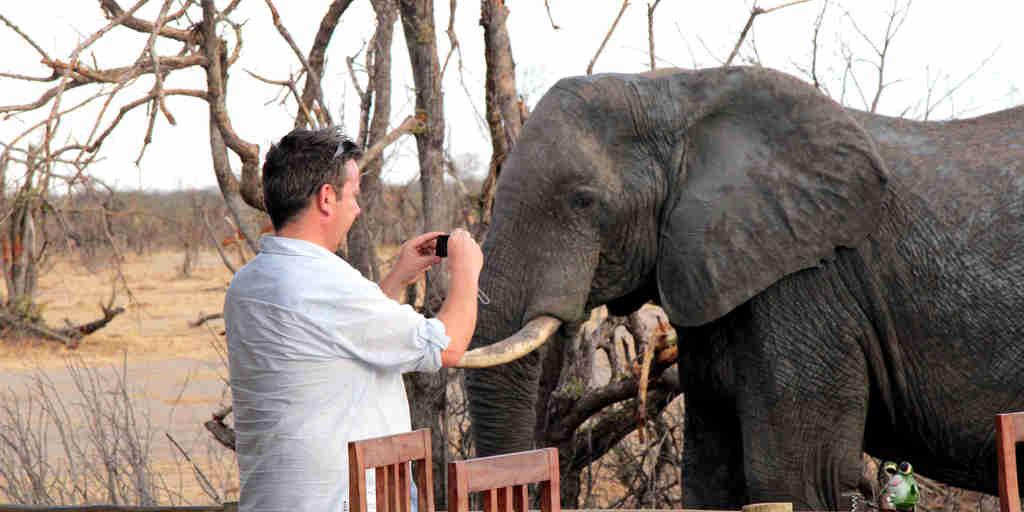19. Imvelo Safari Lodges   Nehimba   photographing elephants in camp